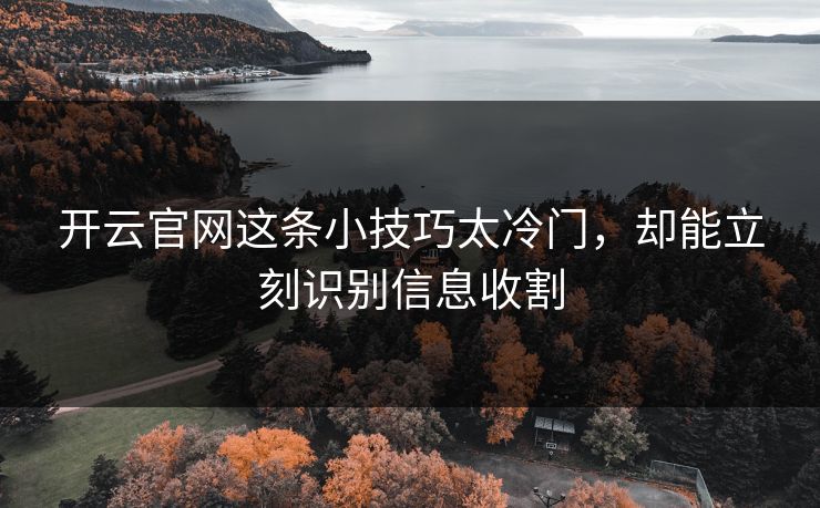 开云官网这条小技巧太冷门，却能立刻识别信息收割