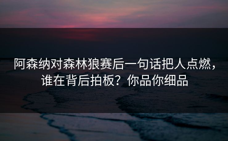 阿森纳对森林狼赛后一句话把人点燃，谁在背后拍板？你品你细品